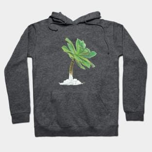 Small green succulent Hoodie